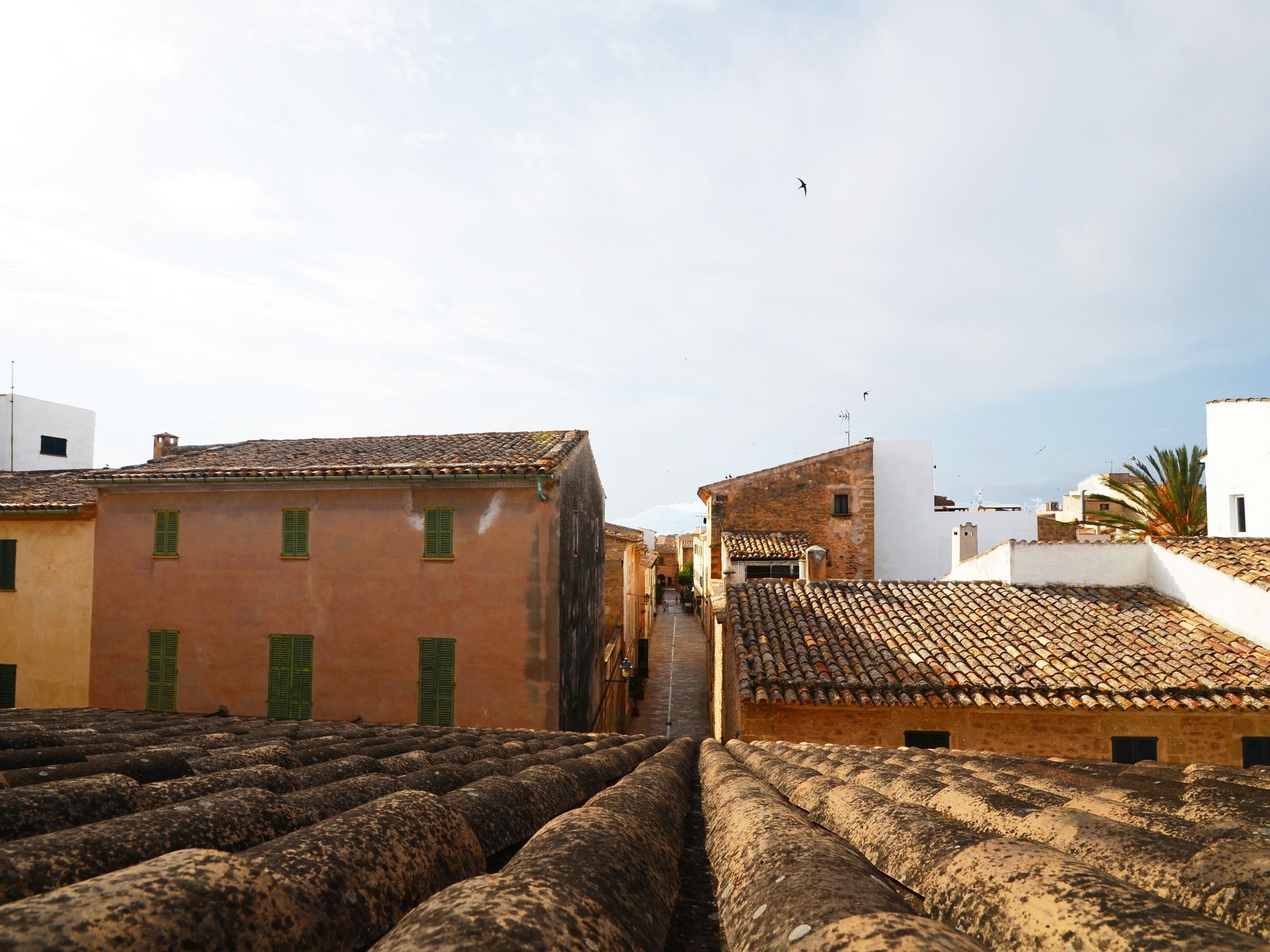 Casa Sant Jaume Apartment